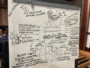 A hand-drawn A1 sized poster of the various elements that make up a sustainable biorefinery.