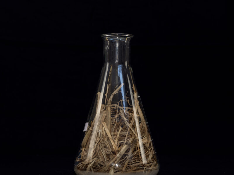 Straw fibres in a conical flask against a black background